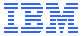 IBM NetTeam Partner